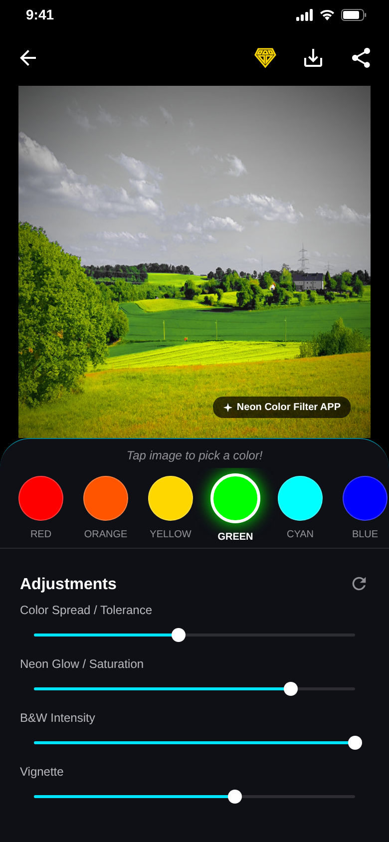 Green filter: green meadows and trees in color under a grey sky, with the adjustment sliders